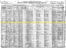 1920 United States Federal Census - Reese Blizzard Jr