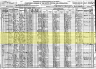 1920 United States Federal Census - Reese Blizzard
